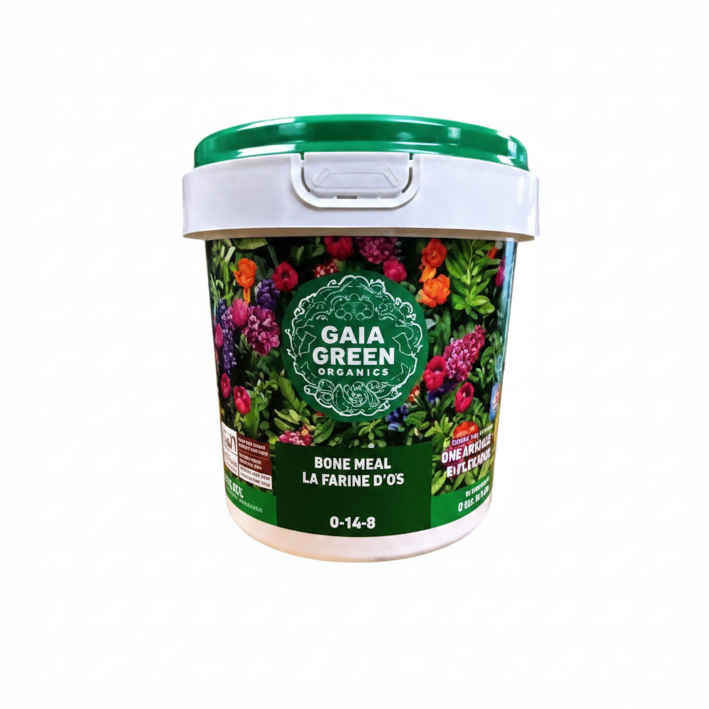 Bone Meal Fertilizer - Gaia Green Organic 2-16-0, 2kg High Phosphorus Plant Food for Roots & Bulbs