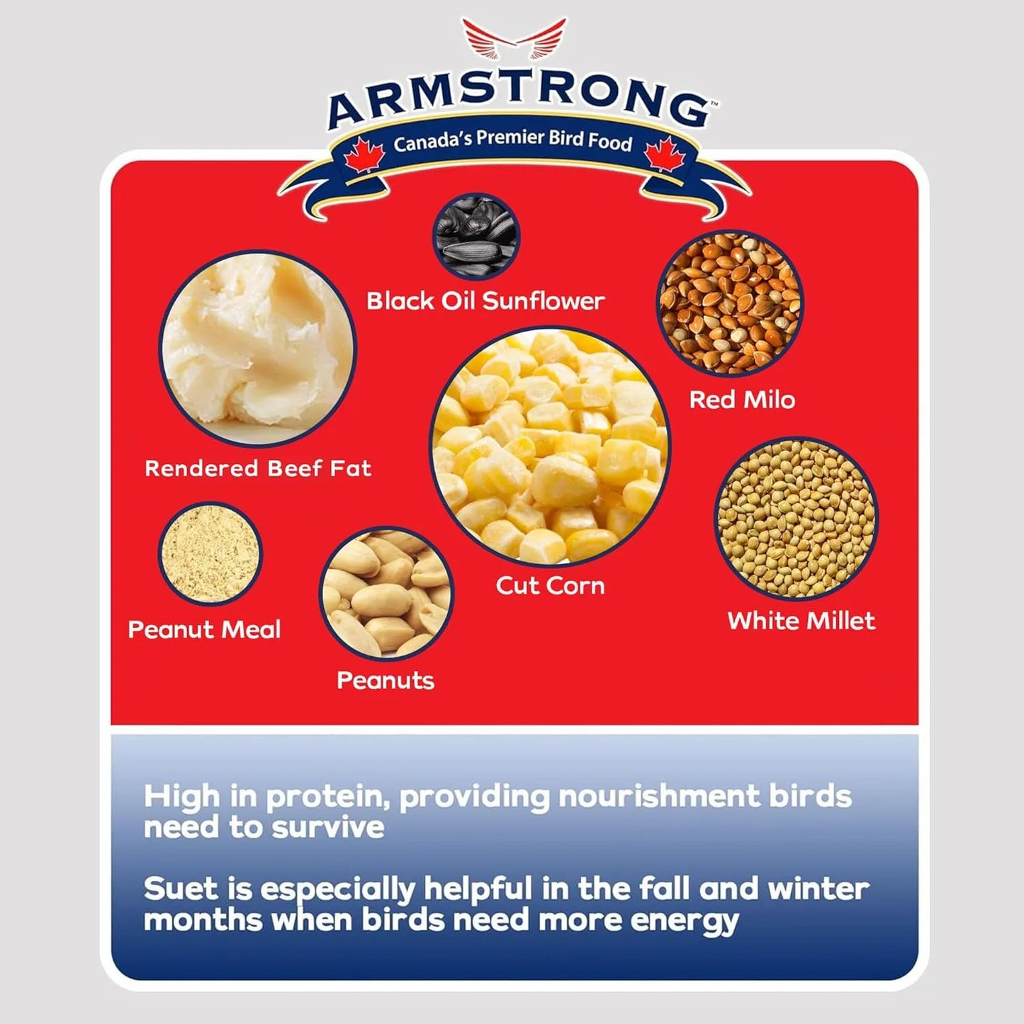 Bird Suet Cakes - Armstrong Royal Jubilee Peanut Select, 960g 3-Pack | High-Protein Wild Bird Food,,One Size 1 Pack