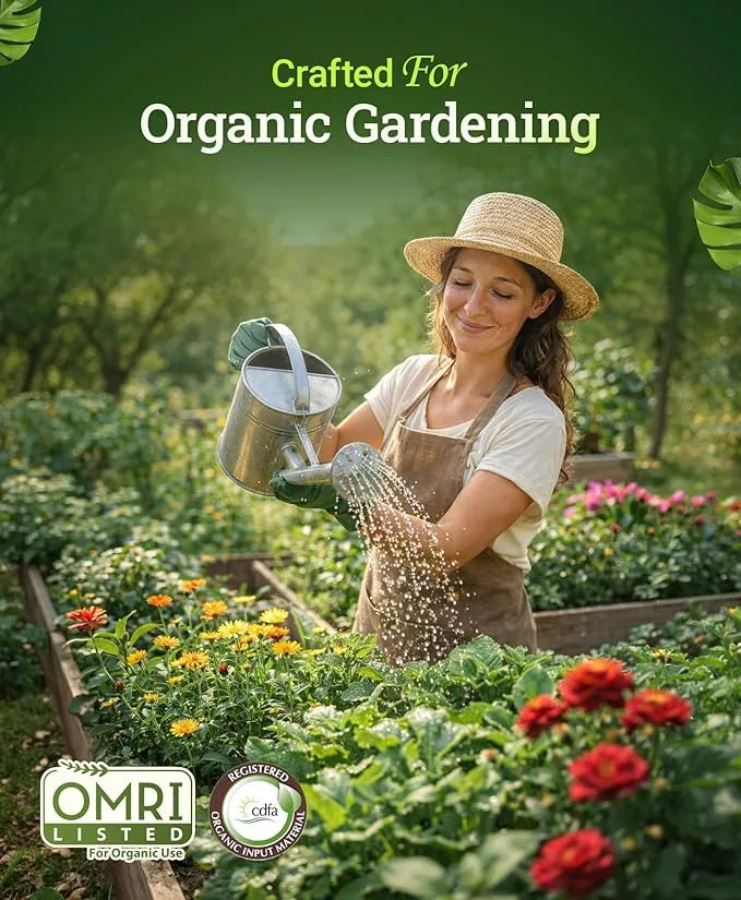 Organic Liquid Fertilizer - FoxFarm Big Bloom, 1 Pint | Natural Bio-Stimulant & Plant Food for Flowers