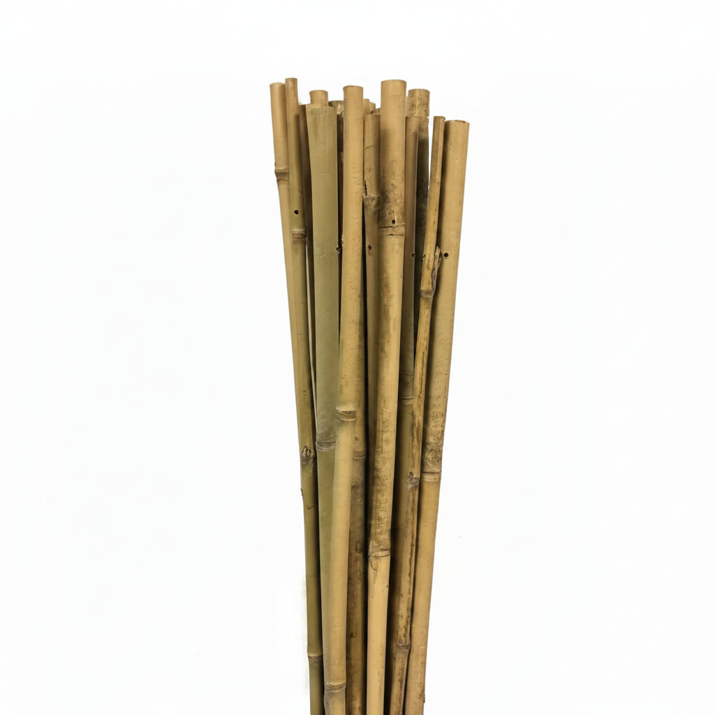 Bamboo Plant Stakes - HollandBasics Natural 4ft, 20 Pack | Strong Support for Tomatoes & Climbing Vines