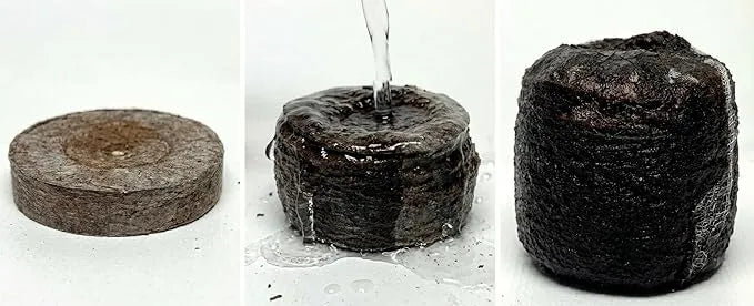 Seed Starting Soil - J PLUS T 42mm Peat Pellets, 100 Count Biodegradable Plugs for Plant Propagation