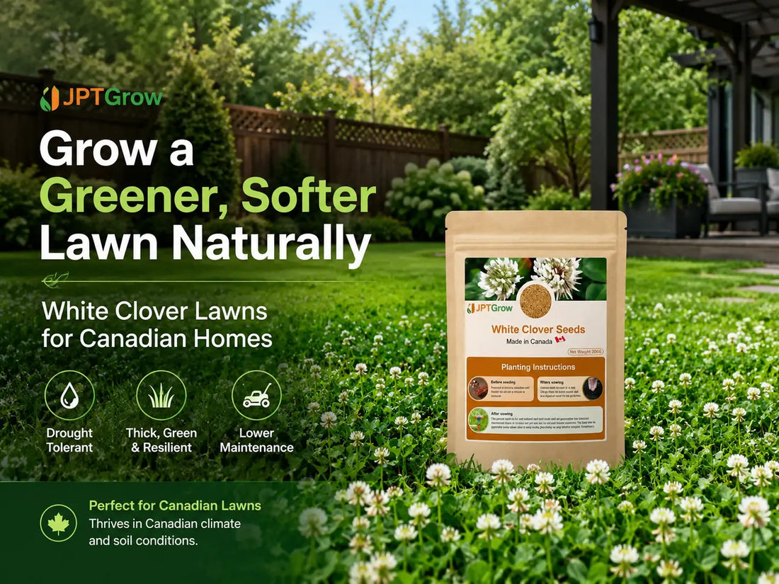 Local Gardening Supplies Canada: Complete Regional Guide to Seeds, Tools, and Garden Centers by Province