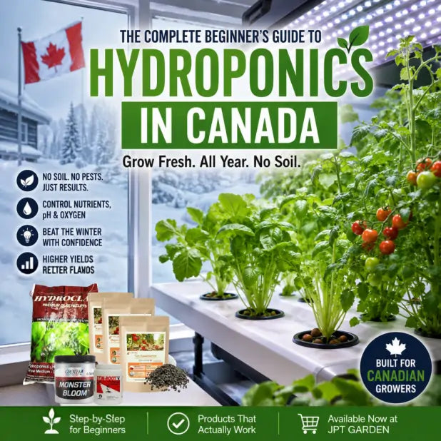 hydroponics-canada-beginner-guide