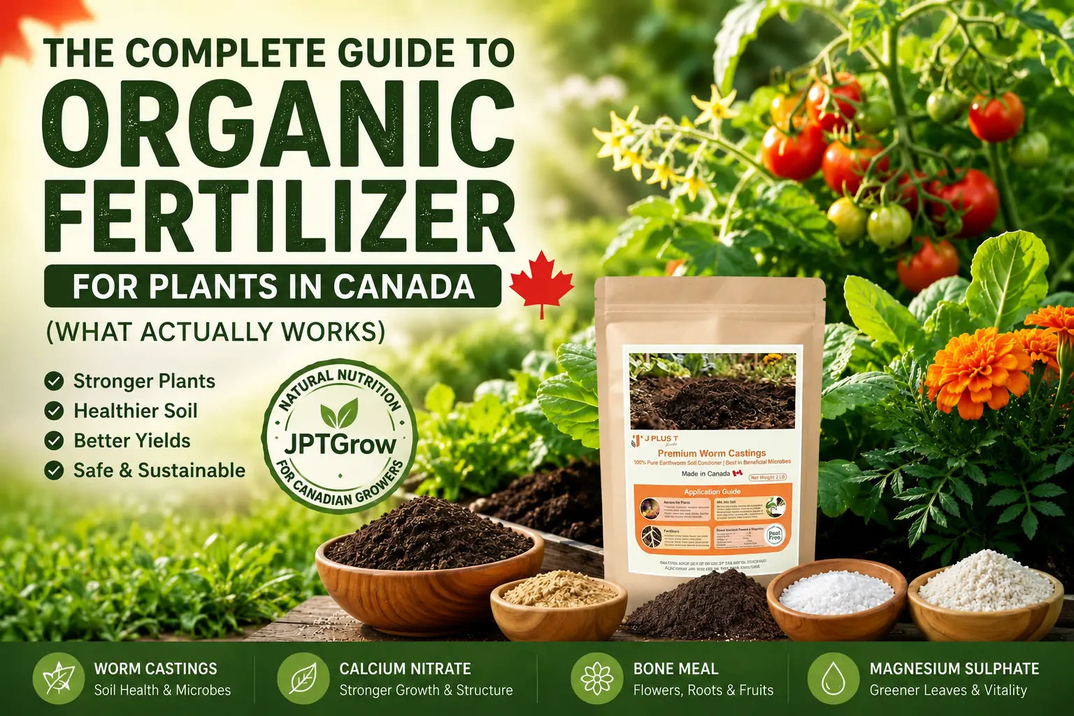 The Complete Guide to Organic Fertilizer for Plants in Canada (What Actually Works)