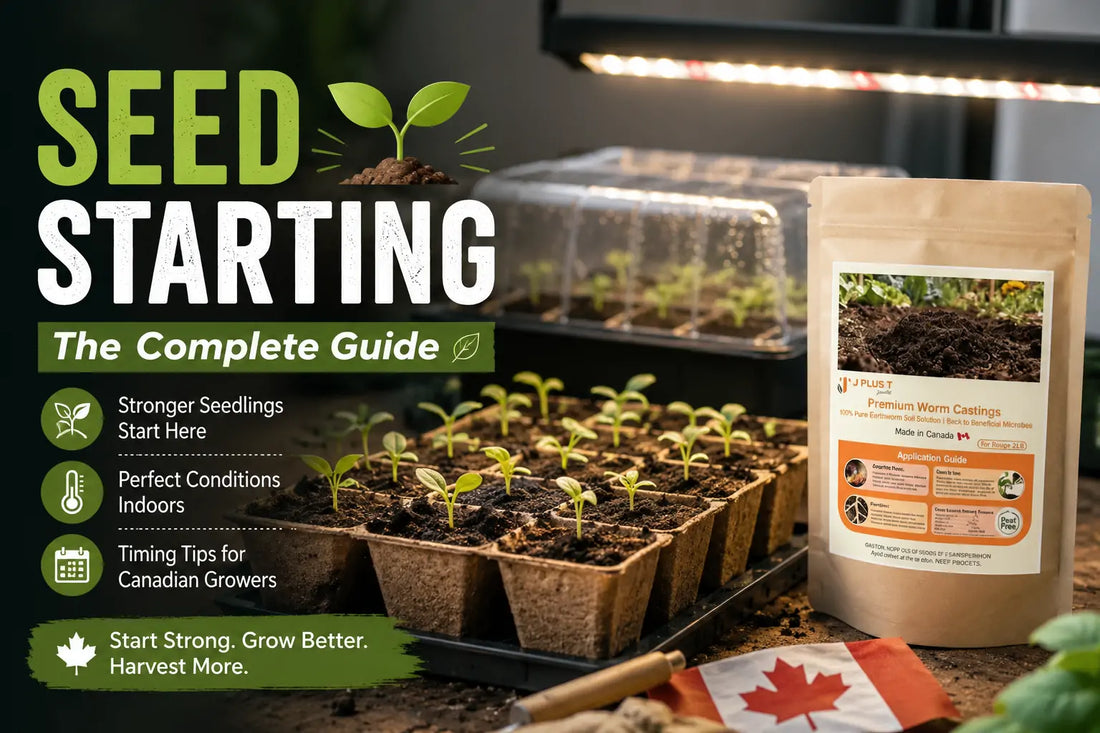Seed Starting in Canada: The Complete System Guide from Germination to Transplant-Ready Seedlings