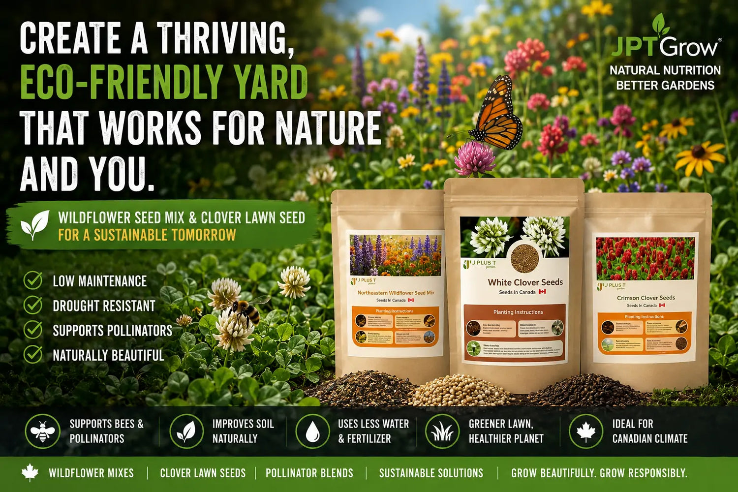 Wildflower Seeds in Canada: How to Grow a Thriving Meadow Garden (2026 Guide)