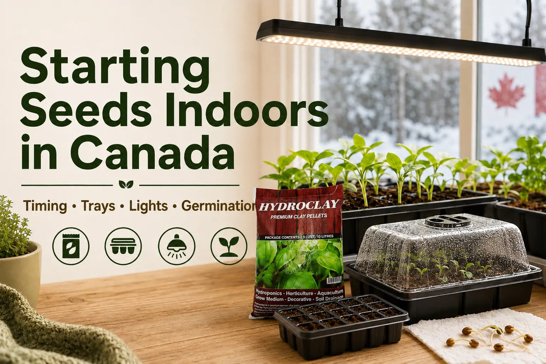 Seed Starting Essentials: Complete Guide for Canadian Gardeners