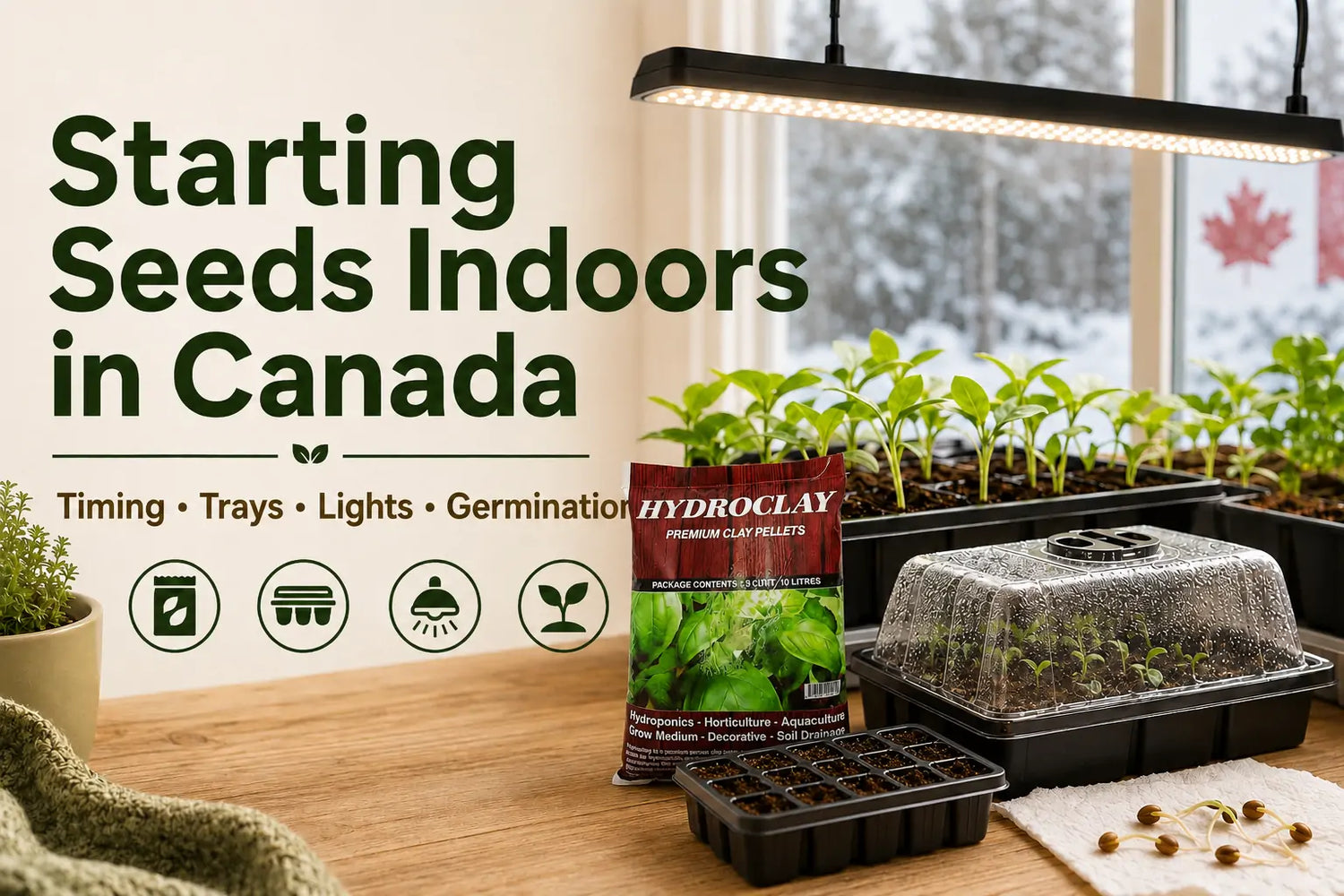 Seed Starting Essentials: Complete Guide for Canadian Gardeners