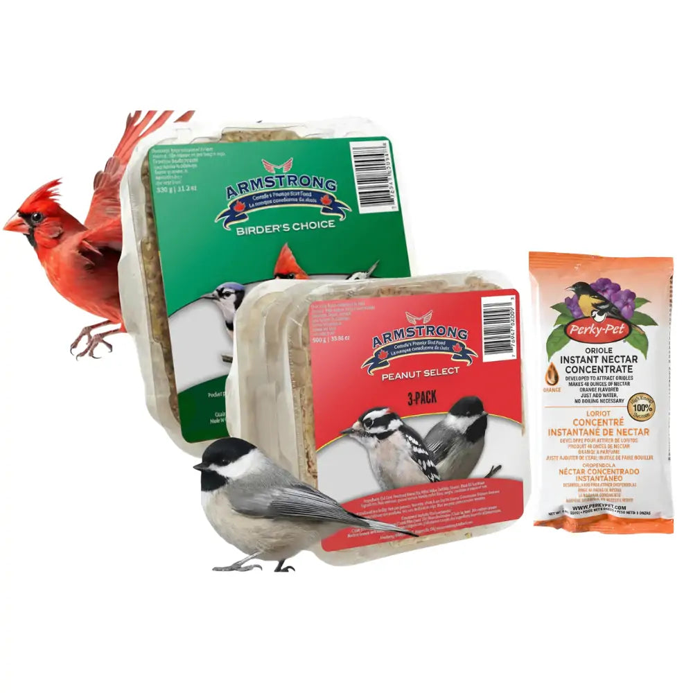 Shop bird and wildlife supplies to attract nature to your backyard. Find feeders and houses to complement your vibrant perennial wildflower seeds.