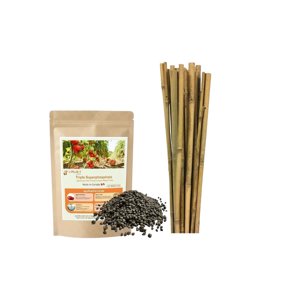 Shop durable bamboo plant stakes to support heavy vines and vegetables. Find natural bamboo garden stakes and versatile bamboo sticks for plants.