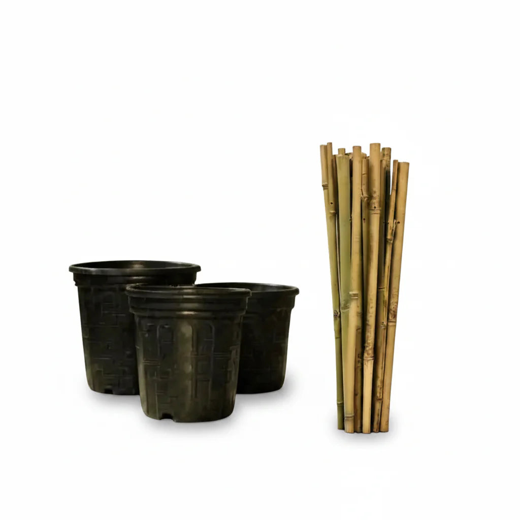 Shop durable bamboo plant stakes and garden supports. Find natural bamboo garden stakes and bamboo sticks for plants to secure heavy vines and vegetables.