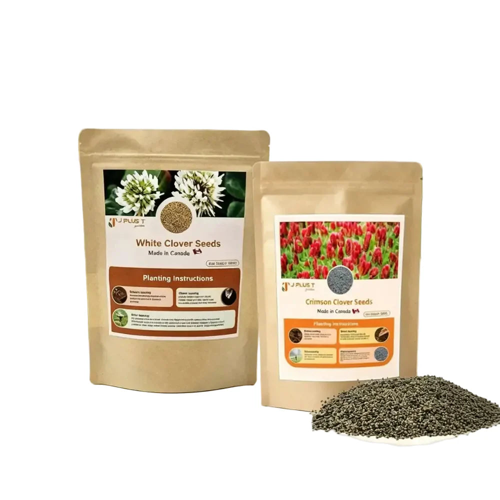Shop premium clover lawn seed for a sustainable, drought-resistant yard. Find low-growing microclover seed and hardy dutch white clover seed varieties.