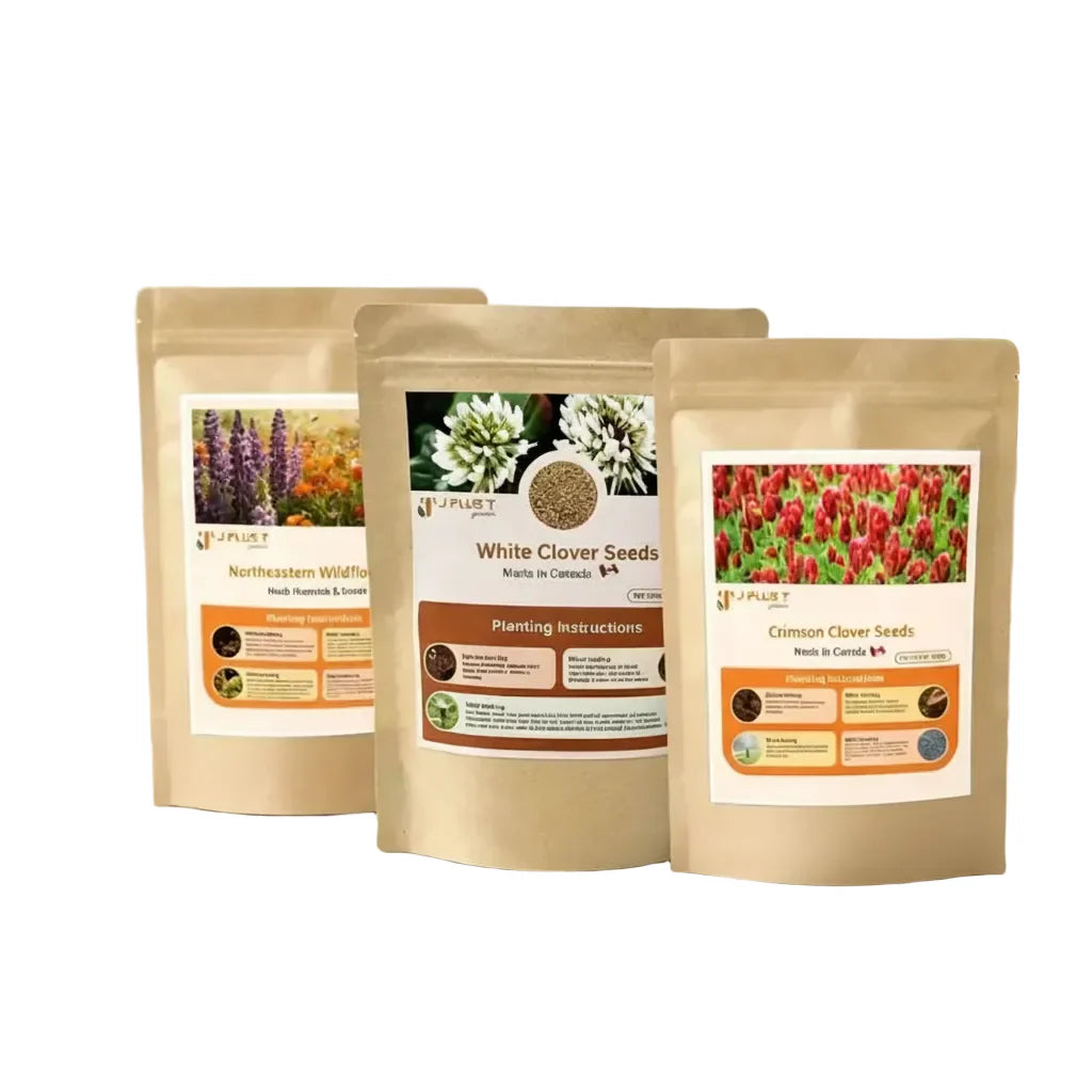 Shop sustainable wildflower seed mix and clover lawn seed to replace traditional turf. Find microclover seed and pollinator blends for eco-friendly yards.