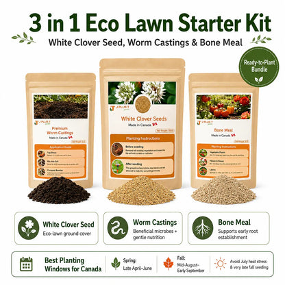 Clover Lawn Seed - Ultimate Eco-Lawn Starter Kit | Seeds, Worm Castings & Vermiculite Bundle for Beginners