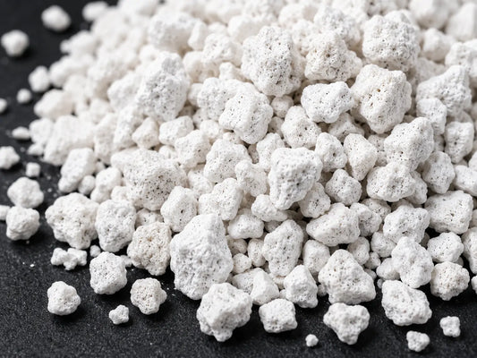 Perlite - J PLUS T Premium Coarse Soil Conditioner, 10L Essential Aeration Amendment for Indoor Plants & Succulents