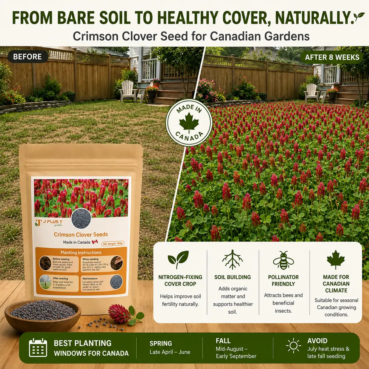 Clover Lawn Seed - Ultimate Eco-Lawn Starter Kit | Seeds, Worm Castings & Vermiculite Bundle for Beginners