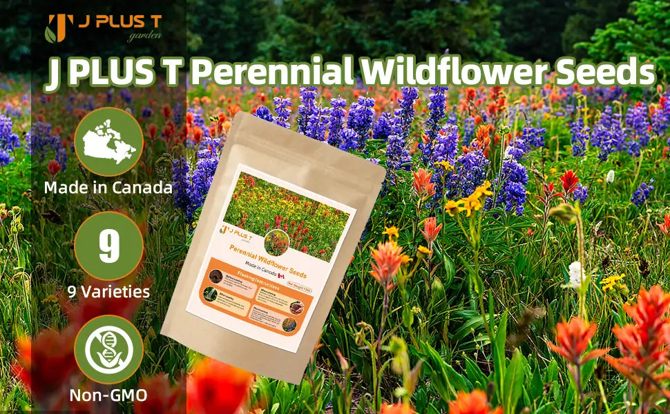 Perennial Wildflower Seeds - J PLUS T Premium Mix (10+ Varieties) | Lasting Meadow Garden