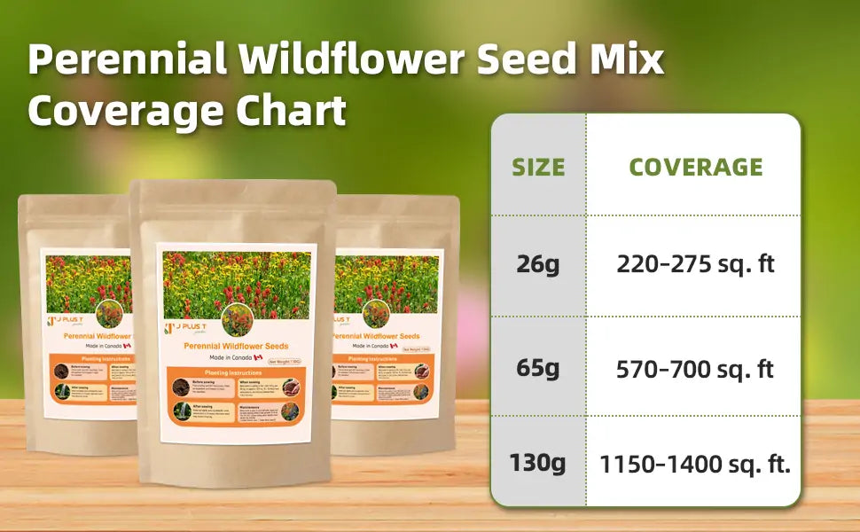 Perennial Wildflower Seeds - J PLUS T Premium Mix (10+ Varieties) | Lasting Meadow Garden