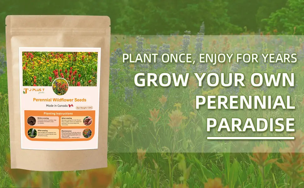 Perennial Wildflower Seeds - J PLUS T Premium Mix (10+ Varieties) | Lasting Meadow Garden