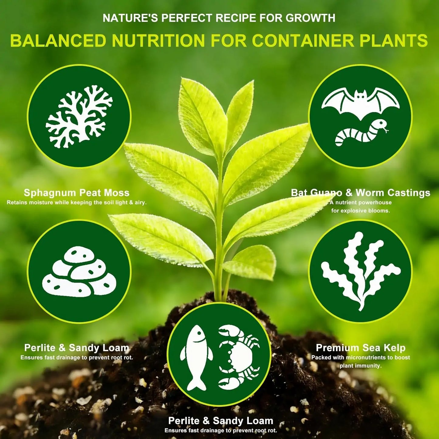 Potting Mix - J PLUS T Ocean Forest Blend 10L