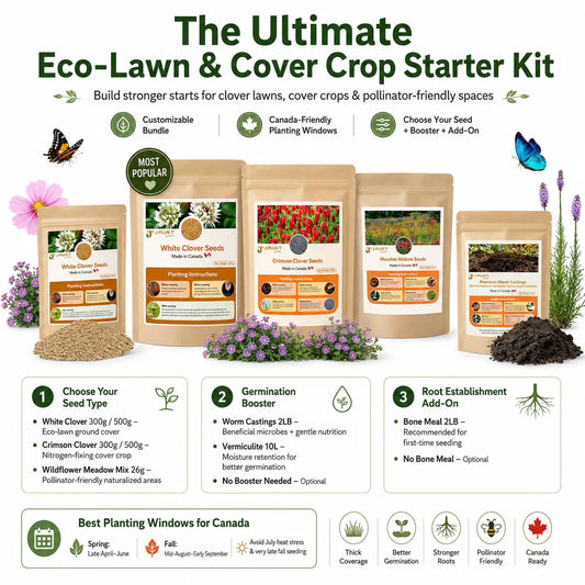Clover Lawn Seed - Ultimate Eco-Lawn Starter Kit | Seeds, Worm Castings & Vermiculite Bundle for Beginners