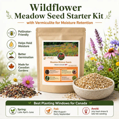 Clover Lawn Seed - Ultimate Eco-Lawn Starter Kit | Seeds, Worm Castings & Vermiculite Bundle for Beginners