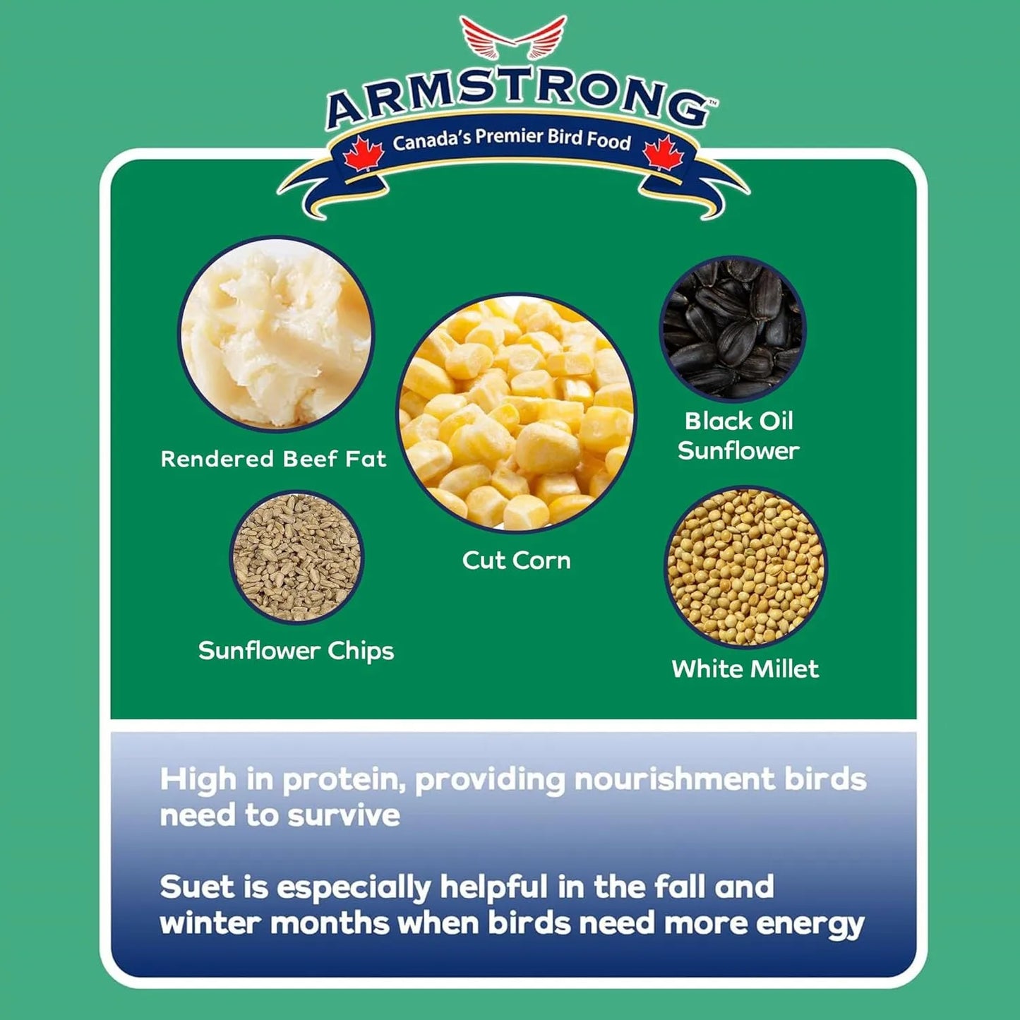 Wild Bird Food - Armstrong Birder's Choice Suet Cake, 320g | Premium High-Fat Feeder Cake