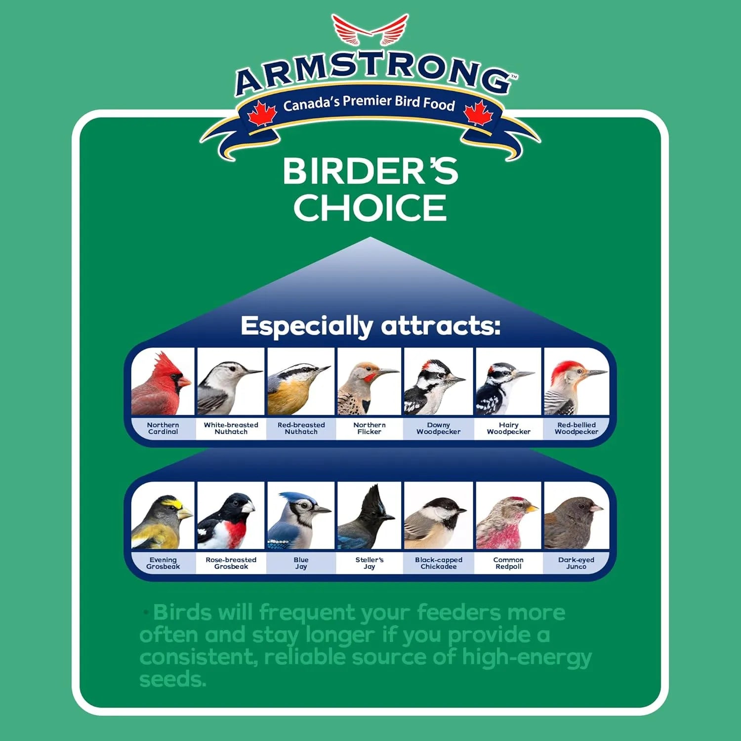 Wild Bird Food - Armstrong Birder's Choice Suet Cake, 320g | Premium High-Fat Feeder Cake