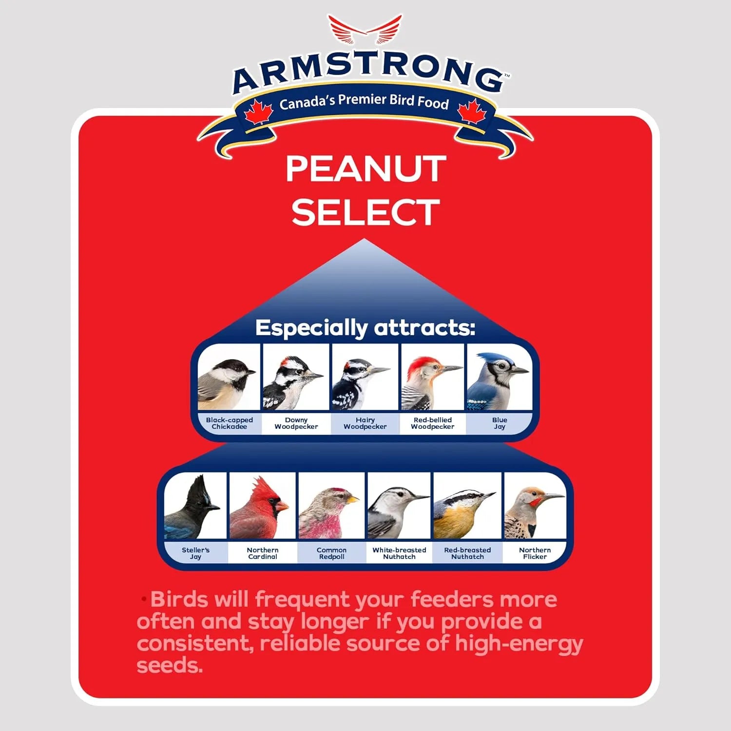 Bird Suet Cakes - Armstrong Royal Jubilee Peanut Select, 960g 3-Pack | High-Protein Wild Bird Food,,One Size 1 Pack