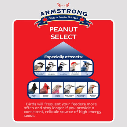 Bird Suet Cakes - Armstrong Royal Jubilee Peanut Select, 960g 3-Pack | High-Protein Wild Bird Food,,One Size 1 Pack
