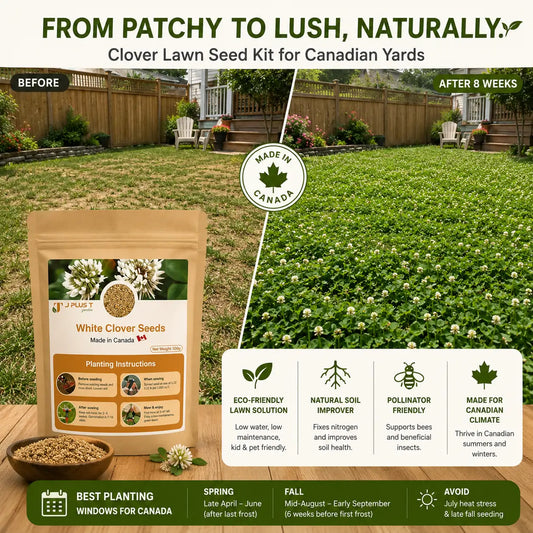 Clover Lawn Seed - Ultimate Eco-Lawn Starter Kit | Seeds, Worm Castings & Vermiculite Bundle for Beginners