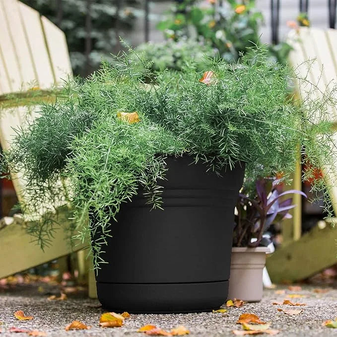 Indoor Plant Pots - Bloem Saturn Planter, 5" Black | Premium Drainage Container for Houseplants