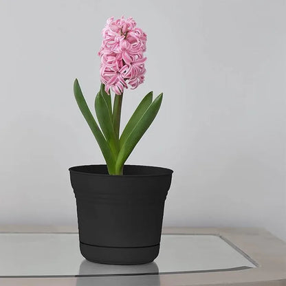 Indoor Plant Pots - Bloem Saturn Planter, 5" Black | Premium Drainage Container for Houseplants