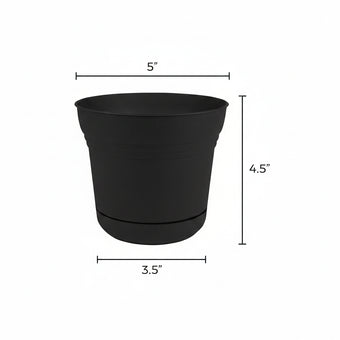 compare product