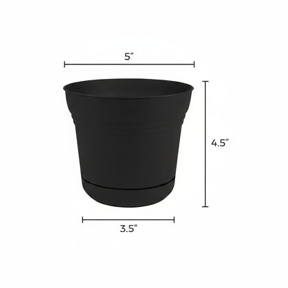 Indoor Plant Pots - Bloem Saturn Planter, 5" Black | Premium Drainage Container for Houseplants