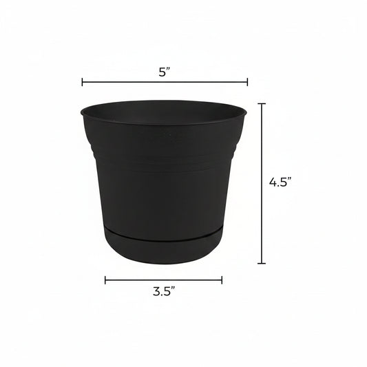 Indoor Plant Pots - Bloem Saturn Planter, 5" Black | Premium Drainage Container for Houseplants