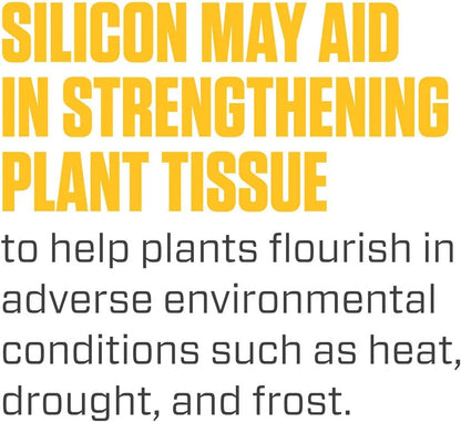Hydroponic Nutrients - Botanicare Silica Blast Liquid, 1qt Premium Silica Additive & Plant Food for Gardens