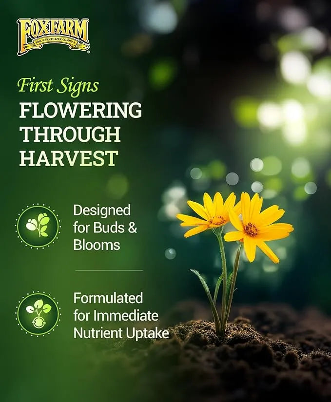 Liquid Fertilizer - FoxFarm Tiger Bloom, 1 Pint | Ultra Potent Bloom Booster Plant Food