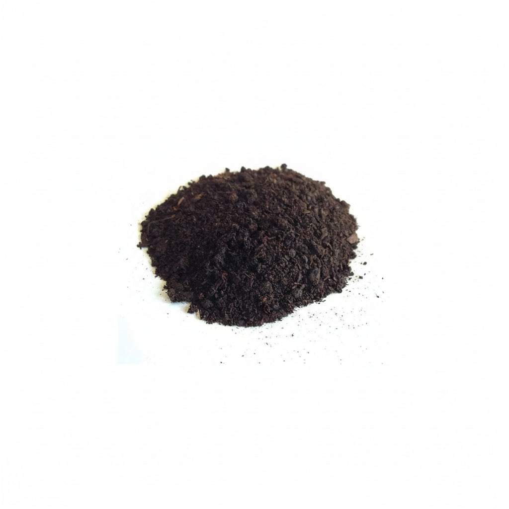 Earthworm Castings - HollandBasics Premium Organic Vermicompost, 5L Gentle Natural Fertilizer for Indoor Plants