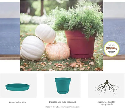 Humidity Control Pack - Integra Boost 62% RH, 12 Pack | 2-Way Moisture Regulation for Seeds & Herbs