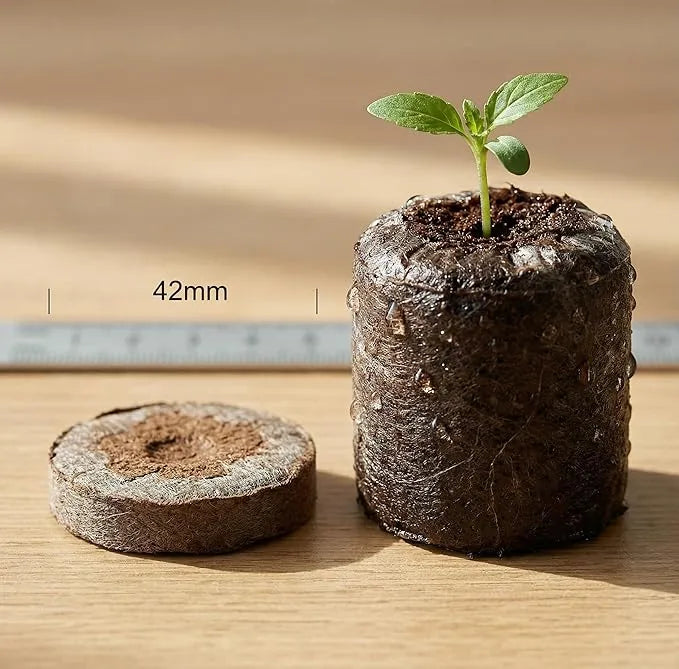 Seed Starting Soil - J PLUS T 42mm Peat Pellets, 100 Count Biodegradable Plugs for Plant Propagation