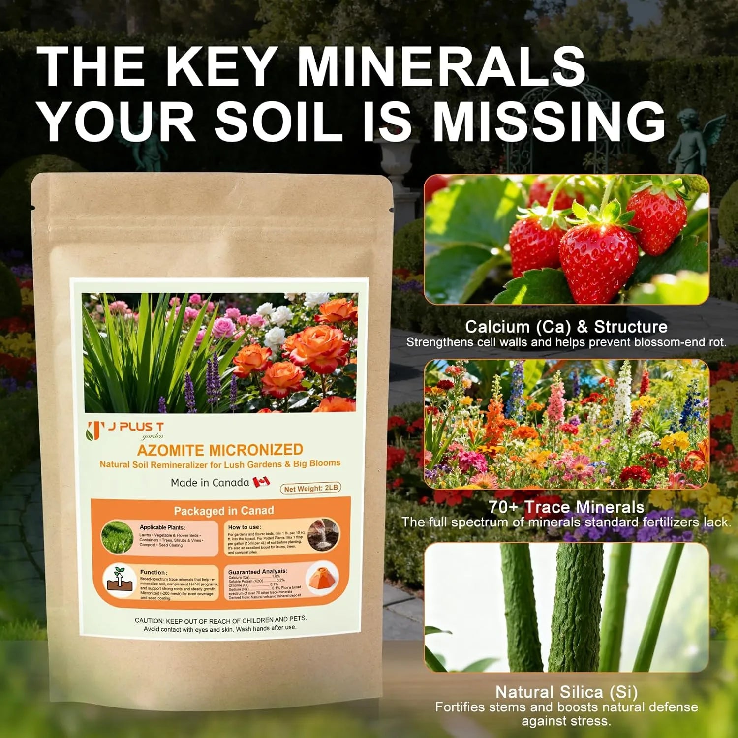 Azomite - J PLUS T Micronized Mineral Soil Conditioner, 5LB | Trace Element Amendment for Vegetable Yields