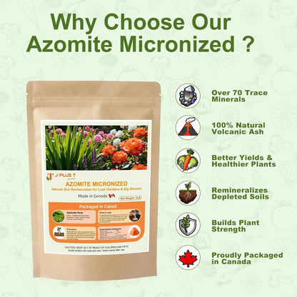 Azomite - J PLUS T Micronized Mineral Soil Conditioner, 5LB | Trace Element Amendment for Vegetable Yields