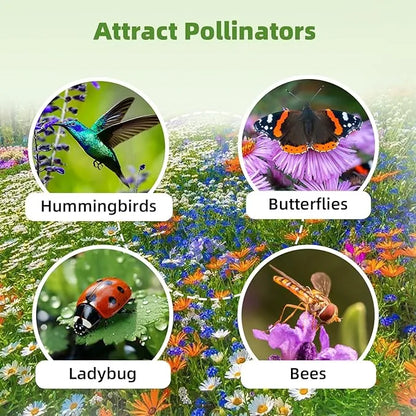 Wildflower Seed Mix - J PLUS T Canadian Blend (16 Varieties), 130g | Premium Pollinator Seeds