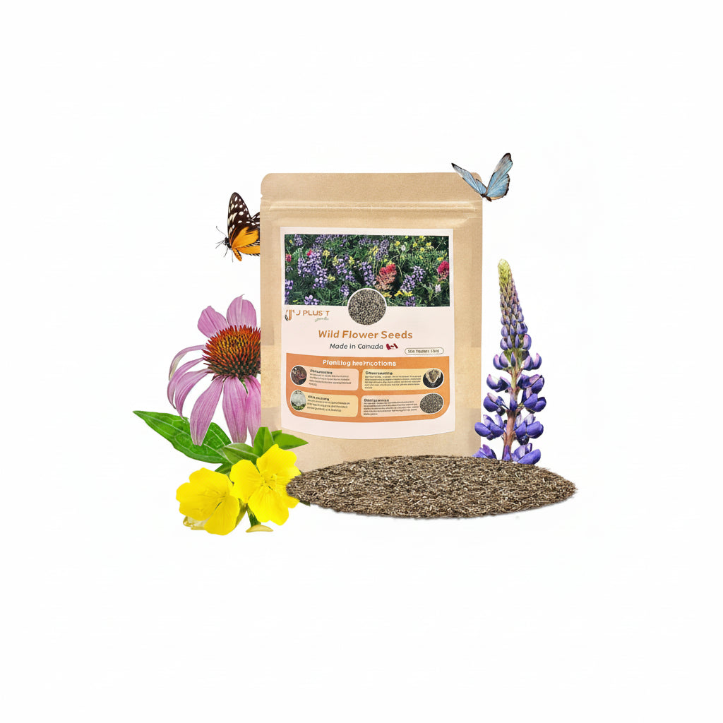 Wildflower Seed Mix - J PLUS T Canadian Blend (16 Varieties), 130g | Premium Pollinator Seeds