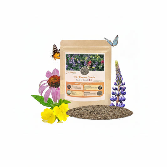 Wildflower Seed Mix - J PLUS T Canadian Blend (16 Varieties), 130g | Premium Pollinator Seeds