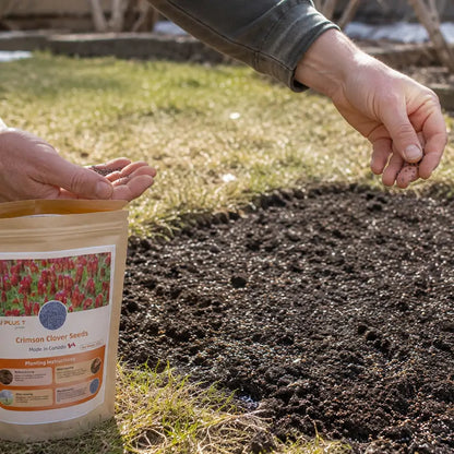Clover Lawn Seeds - J PLUS T Premium Seeds, 500g | Nitrogen Fixing Cover Crop & Soil Builder