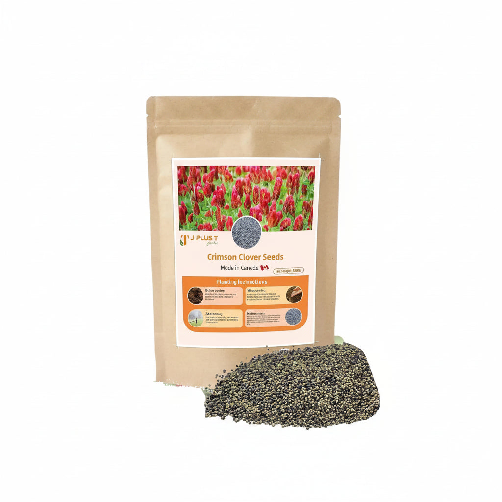 Crimson Clover - J PLUS T Premium Seeds, 500g | Nitrogen Fixing Cover Crop & Soil Builder