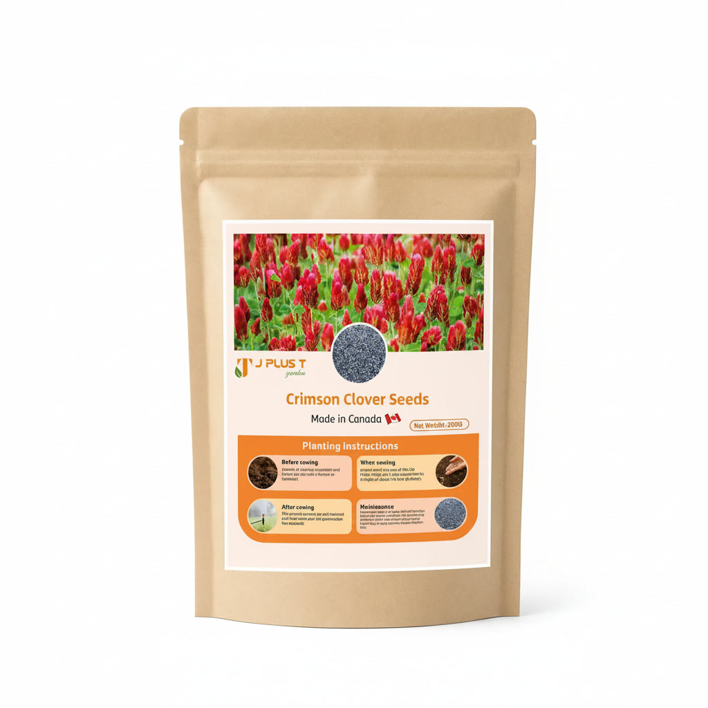 Crimson Clover - J PLUS T Premium Seeds, 500g | Nitrogen Fixing Cover Crop & Soil Builder