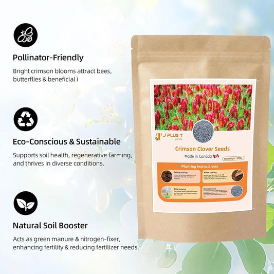 Crimson Clover - J PLUS T Premium Seeds, 500g | Nitrogen Fixing Cover Crop & Soil Builder
